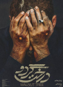 泡芙视频下载